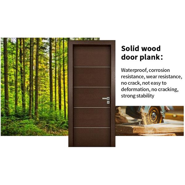 Malaysia Style Light Pattern Security Steel Matte Black Finish Bright Color Pivot Door with Stainless Steel Handle