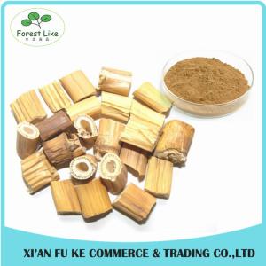 High Quality Hydrangea Root Extract Powder 5:1 - 20:1