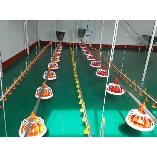 Chicken Coop Automatic Poultry Farm Equipment With Ventilation System