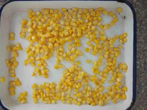 China 425g Non - GMO Canned Corn Kernels Grade A , Sweet Corn In Can on sale
