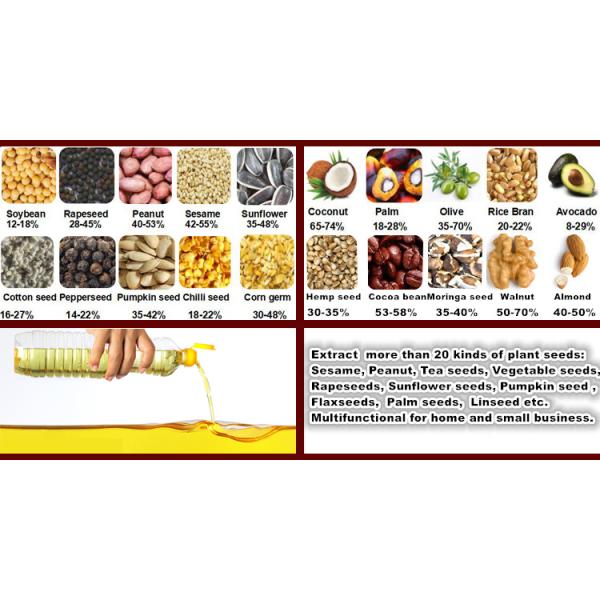 50hz Hydraulic Seed Oil Press Machine , 1PH 6kg/Batch Cold Press Oil Mill Machine