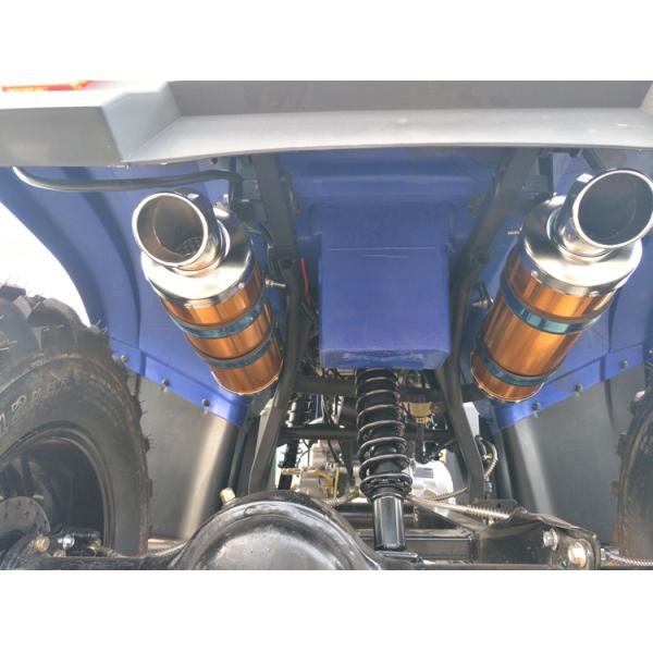 Single Arm Swing 250CC Four Wheeler With Manual Clutch Shaft Drive