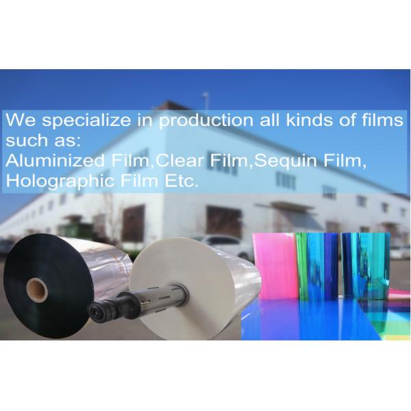 Flexible Packaging Matt Pet Film Moisture Proof with Blow Molding Processing Type