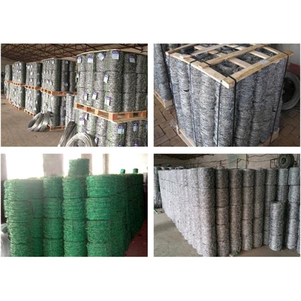 Lawn SWG12# X 14# Hot Dipped Galvanized 50kg Barbed Wires