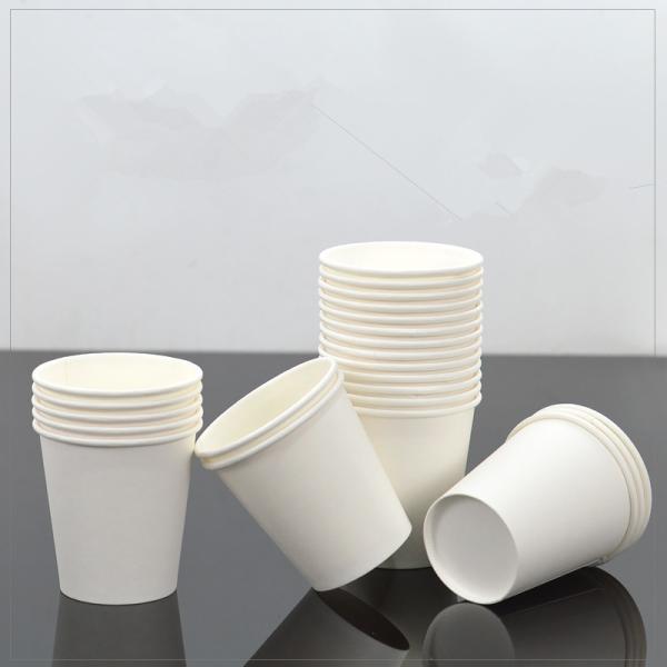 Coffee 100 Biodegradable 6 Oz Paper Cups With Lids