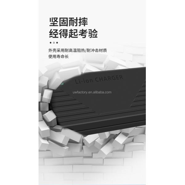 Input Voltage AC100-240V 50/60Hz 12V 24V 36V 48V 25.2V 4.5A 5A Universal Lithium Ion Battery Charger for E-Forklifts