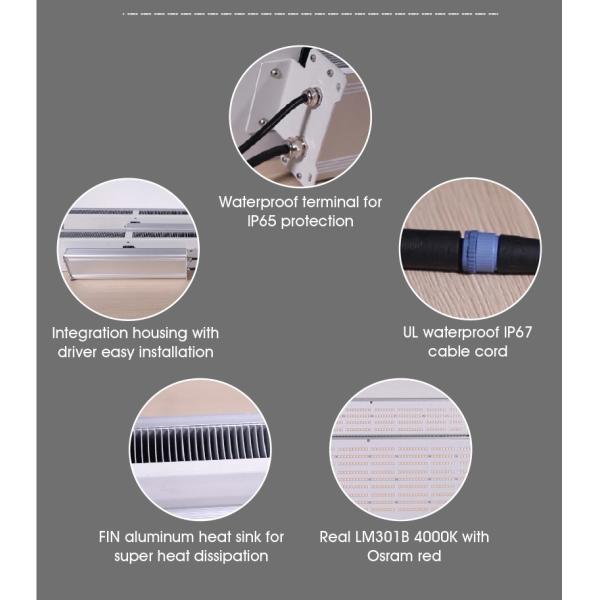 Outdoor Greenhouse 330W IP65 Greenhouse LED Grow Lights