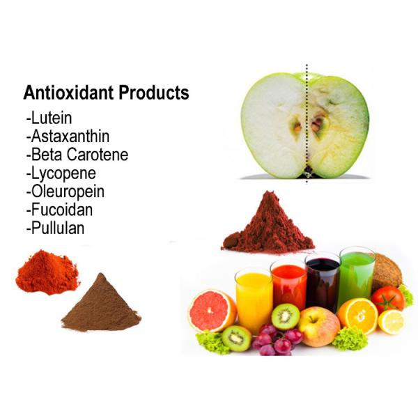 Bulk Natural Flavouring Agent Spray Dried Tomato Powder Cas 502-65-8