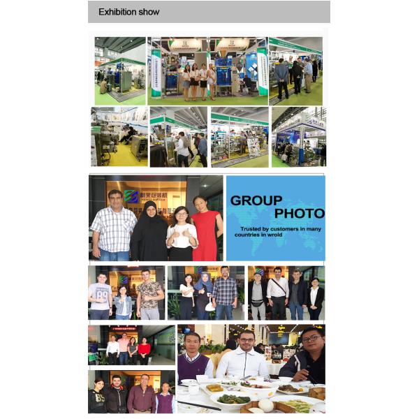 Automatic Irregular Liquid Sachet Packaging Machine for Jelly / Thin Liquids