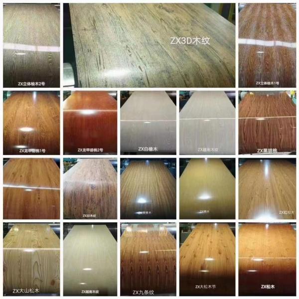 Prepainted Galvanized Steel Coil PPGI / PPGL / HDGL / HDGI Roll Coil And Sheets