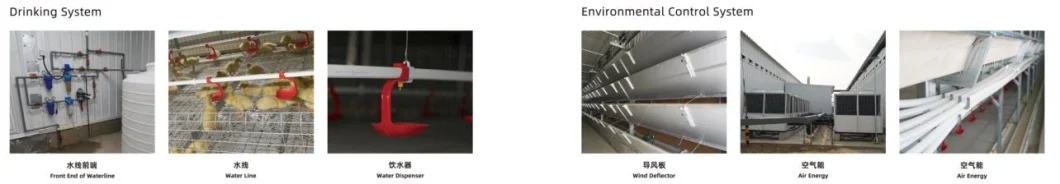 High Quality Broiler Chicken Cage Equipment