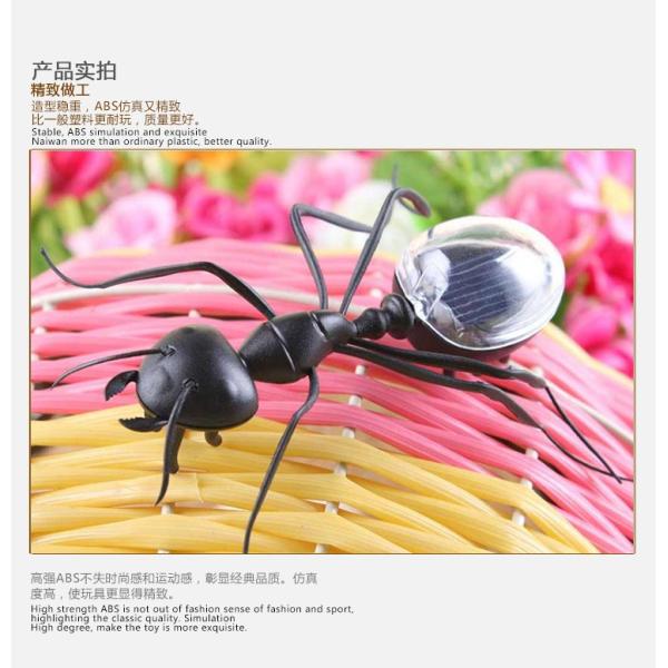 Black Solar Powered Ant Small Solar Toys Early Learning Educational Toy