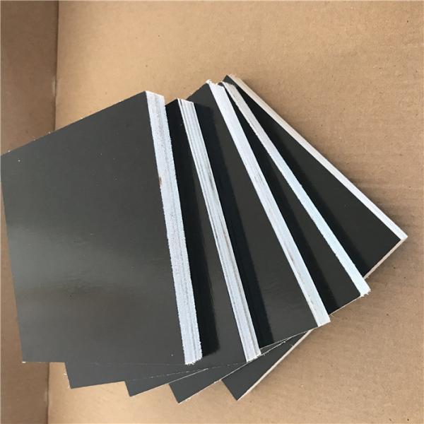 Moisture Proof Poplar Faced Plywood WBP Melamine Glue No Deformation