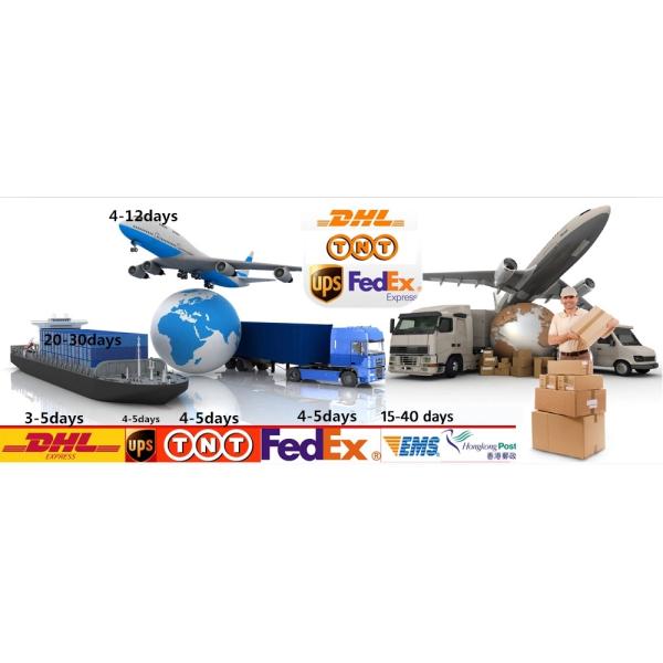 2020 New TPU Frame Wooden back Cover Case for iPhone Custom Design Pattern Bamboo Wood Phone Case for iPhone 11