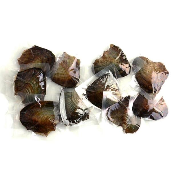 Wholesale Vacuum-packed 7-8mm A grade rice shape freshwater pearl oyster white natural Pearl Oyster