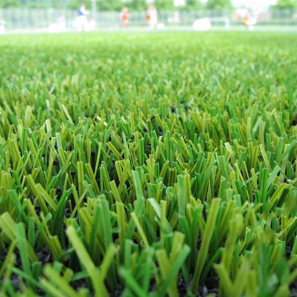 25mm Artificial Turf Grass Three Colors PP+NET+SBR Latex Backing
