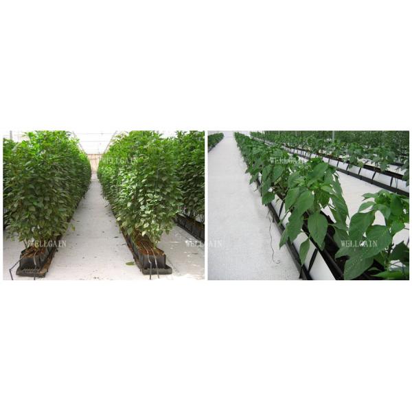 Hydroponics Planting Trough PP Roll Drain Spacer Folding Planter Gutter For Agriculture