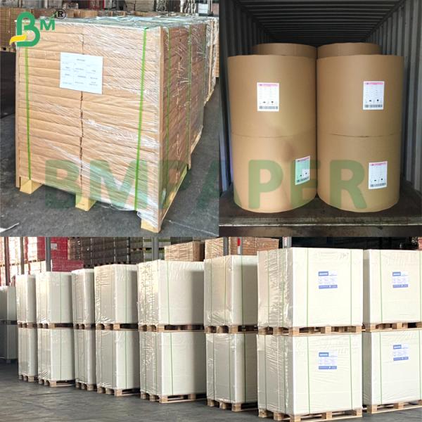 200gsm＋15gsm PE Coated Food Board Waterproof & Greaseproof for Burger Boxes Paper Cups Food Packaging