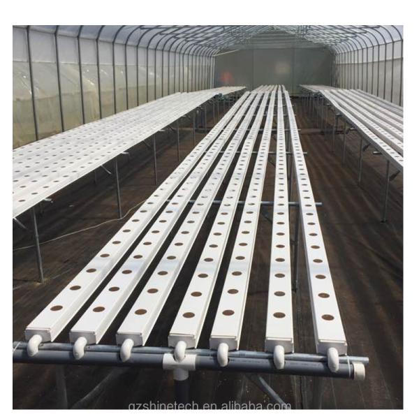 Single Span Greenhouse Simple Frame Poly Tunnel Film Greenhouse For Agricultural