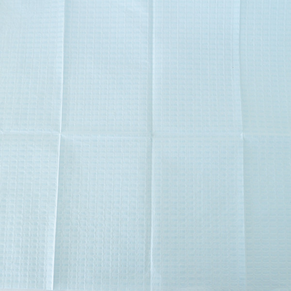 Different Size 2 Ply FDA Approved Disposable Dental Bib