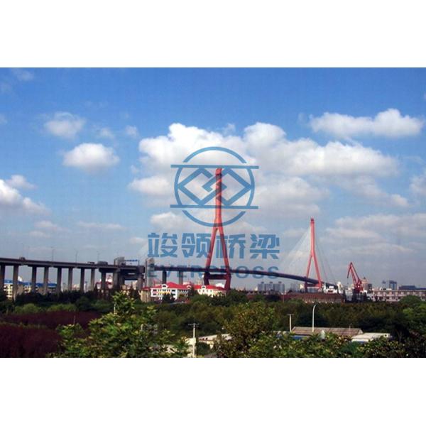 Fast Installed Prefabricated Cable Stayed Bridge Customizable