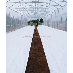 150 Micron Single Span Greenhouse Plastic Film Greenhouse Natural Ventilation