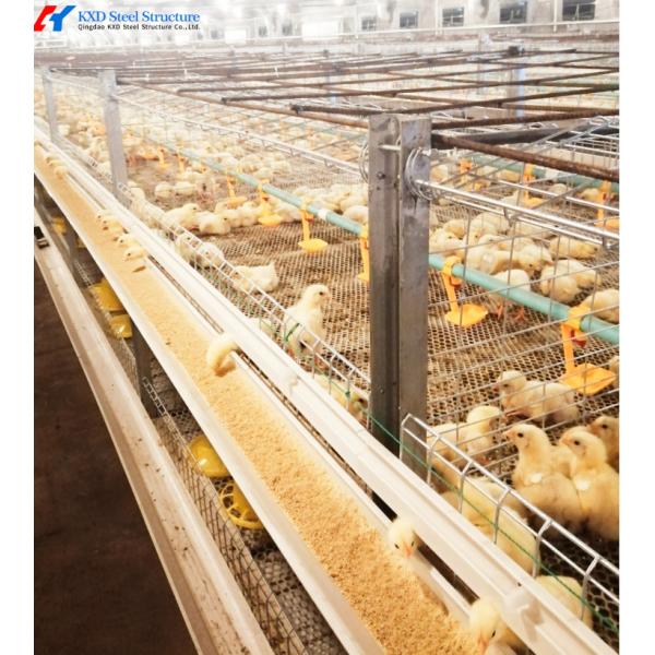 Broiler Farm Plastic Slatted Dung Leaking Board Poultry Slat Floor For Chicken Chick Duck Goose