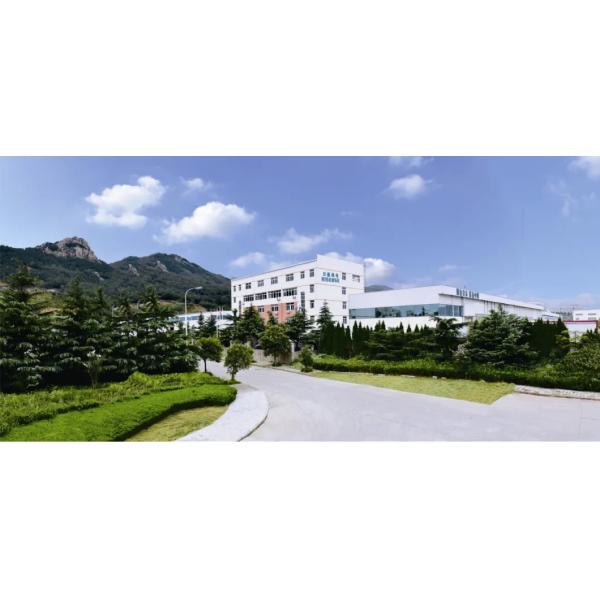 Wash Cars Jeeps Coaches With 5 Brushes Fully Automatic Technology