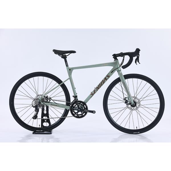 18 Speed Copy Carbon Welding Frame Road Bike Disc Brake Performance and Comfort