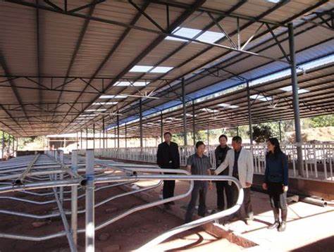 Strong Advantage Welded Stainless Steel Cow Feeding Freestand Divider with Painted