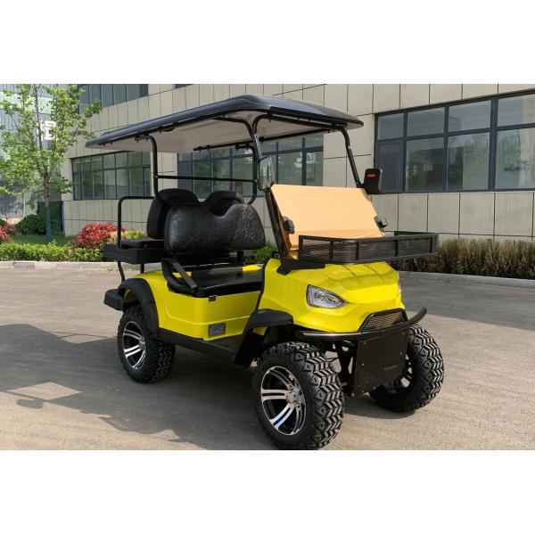 Mini Electric Vehicle 2 Seater Lifted Buggy Golf Carts Lead Acid Lithium Battery Powered