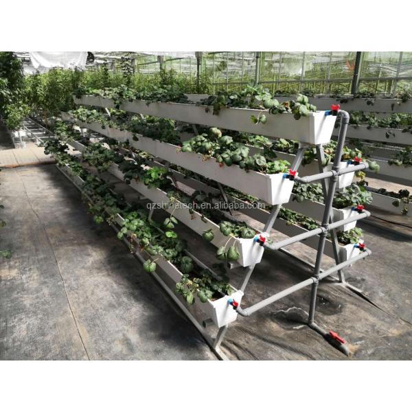 Hydroponic Planting Gutter For Growing Chili Pepper Cucumber And Strawberry