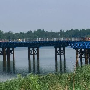 Quality GB Q235 Prefabricated Steel Truss Bridge Panel Size 3000mm*1400mm for sale