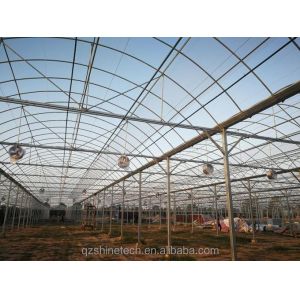 Industrial Hydroponic Greenhouse with Super Strong Resistance Multi Span
