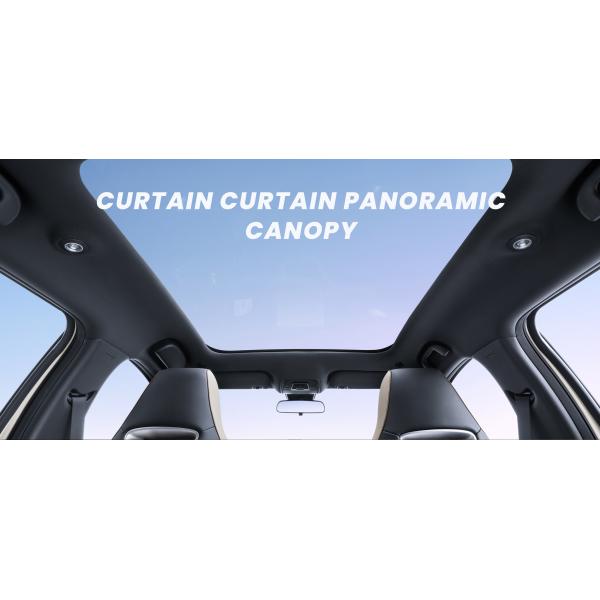 2022 BYD Dolphin EV Car Vehicles Zero Emission Vitality Edition