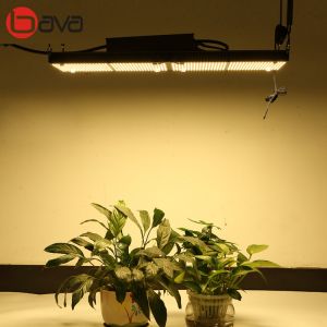 Quality 3500K 285*165mm PCB LM301B LED Grow Light Meanwell Driver for sale