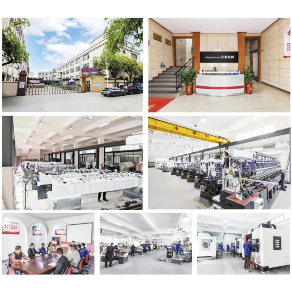 YTCS96 Computerized Automatic Fillet Cutting and Stacking Machine