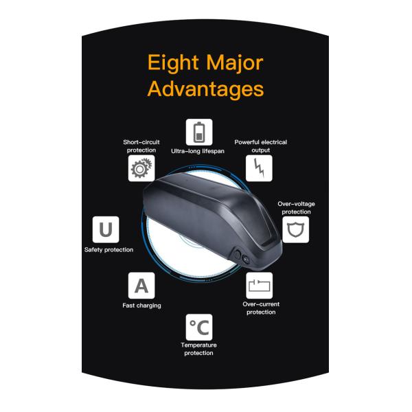 Large Capacity 36v Ebike Battery Pack Power Lithium Battery For Mountain Bicycles Snow Bikes