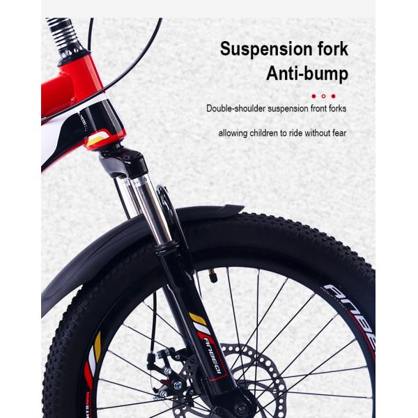 Customized Disc Brake 20 Inch MTB Mountain Bicycles 21 Speed