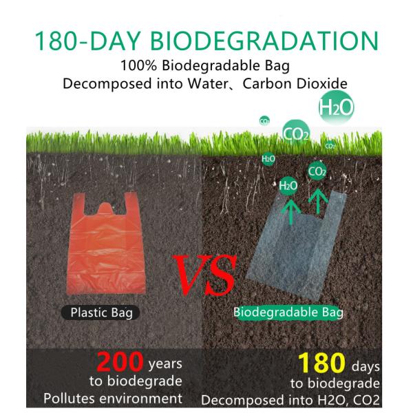 Durable Biodegradable Shopping Bags Lightweight 5LB capacity