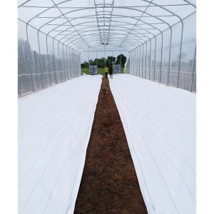 150 Micron Single Span Greenhouse Plastic Film Greenhouse Natural Ventilation