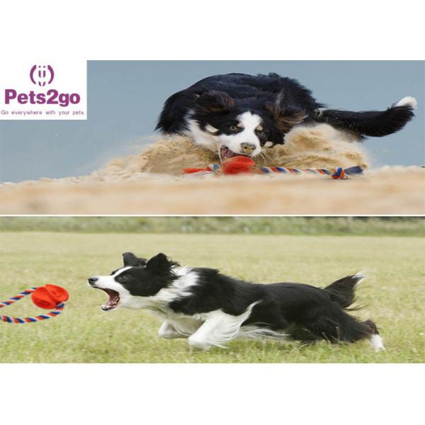 Plush Toys Light Up Ball Dogs Chew Laser Pointer Favorite Taste Good An Animal