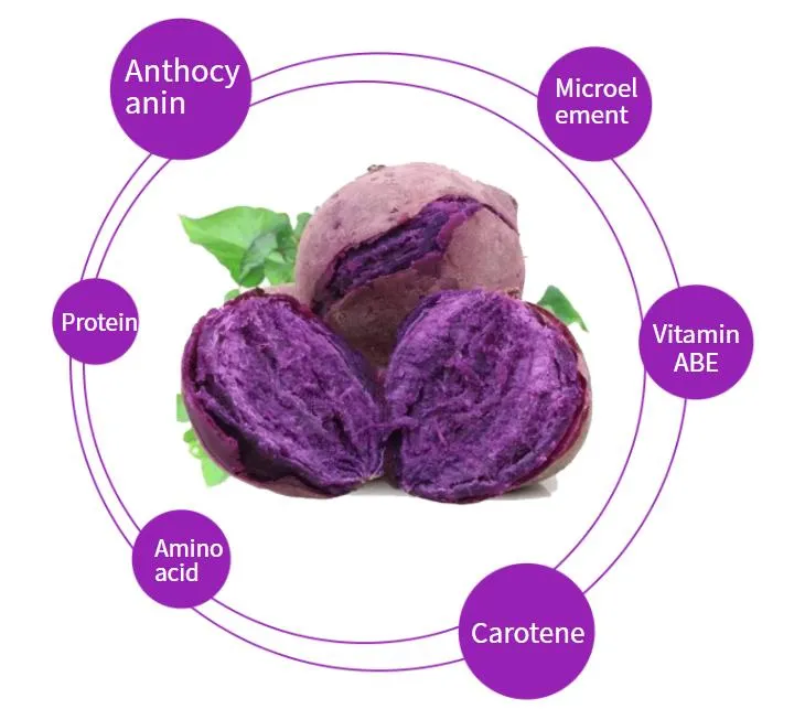 Purple Sweet Potato Powder Benefits 100%Pure Powder Purple Sweet Potato Powder