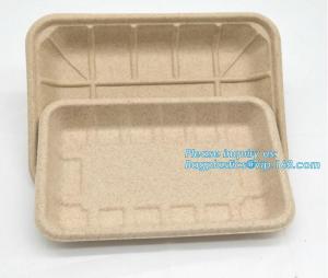 China Biodegradable & Compostable 8 inchSquare sugarcane trays,sugarcane pulp compostable serving tray,lunch tray bagasse suga on sale