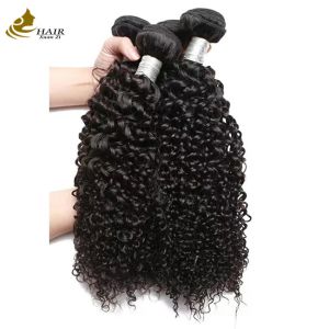 Quality Bohemian Virgin Brazilian Remy Human Hair Bundles With Double Weft for sale