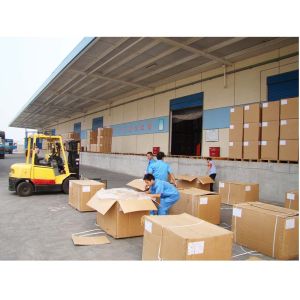 Yicaiyang International Co. Ltd