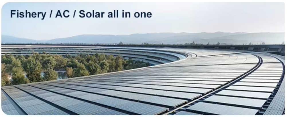 Home Solar Energy System Lifepo4 6000 Cycles 10k wh 51.2v 200ah Lithium Battery Solar Lithium Battery Pack