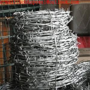 China barbed wire suppliers/spike wire fence/razor barbed wire fencing/best barbed wire/barbed wire post/bulb wire fence on sale