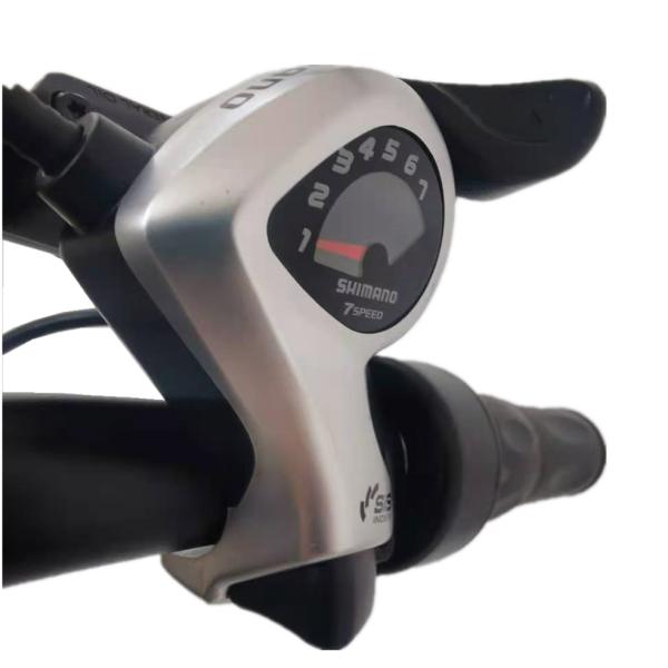 48v Electric Bicycle Lithium Battery Two Wheel City Bike Arrow 9 48v 20ah Ebike 500w