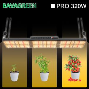 Quality 832 Umol/S SAMSUNG LM301H LED Grow Light 320W 60x120x200mm for sale